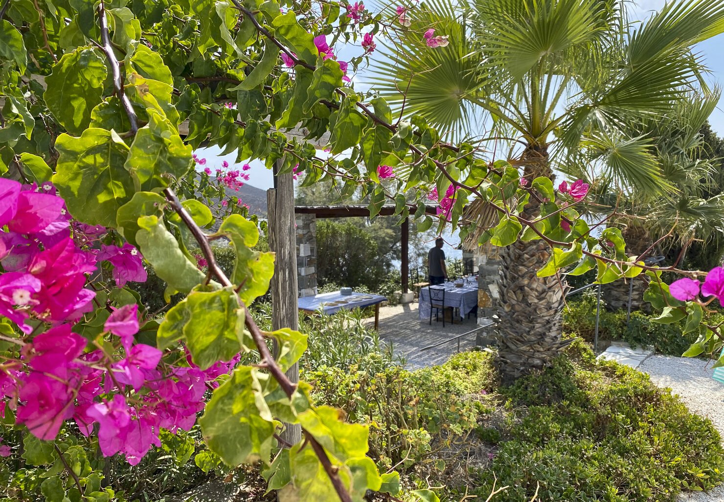 Pergola Terrace Pergola Terrace