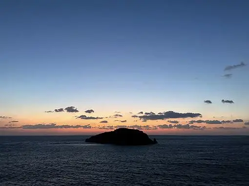 Evening Soirée
